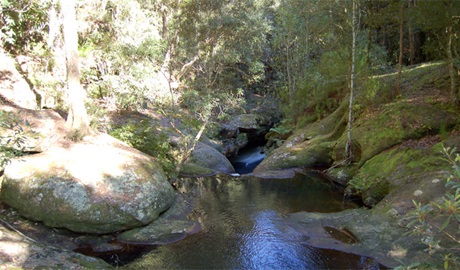 Creek, Watagans National Park