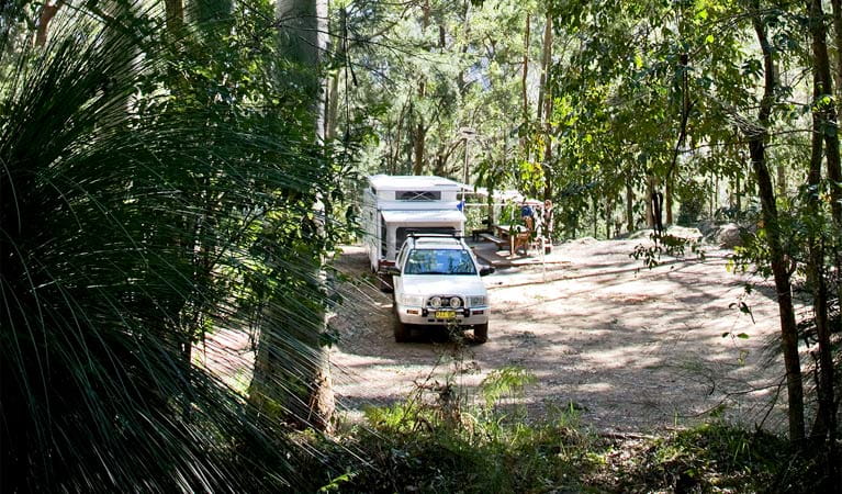Vehicle camping, Watagans National Park. Photo: Susan Davis/DPIE
