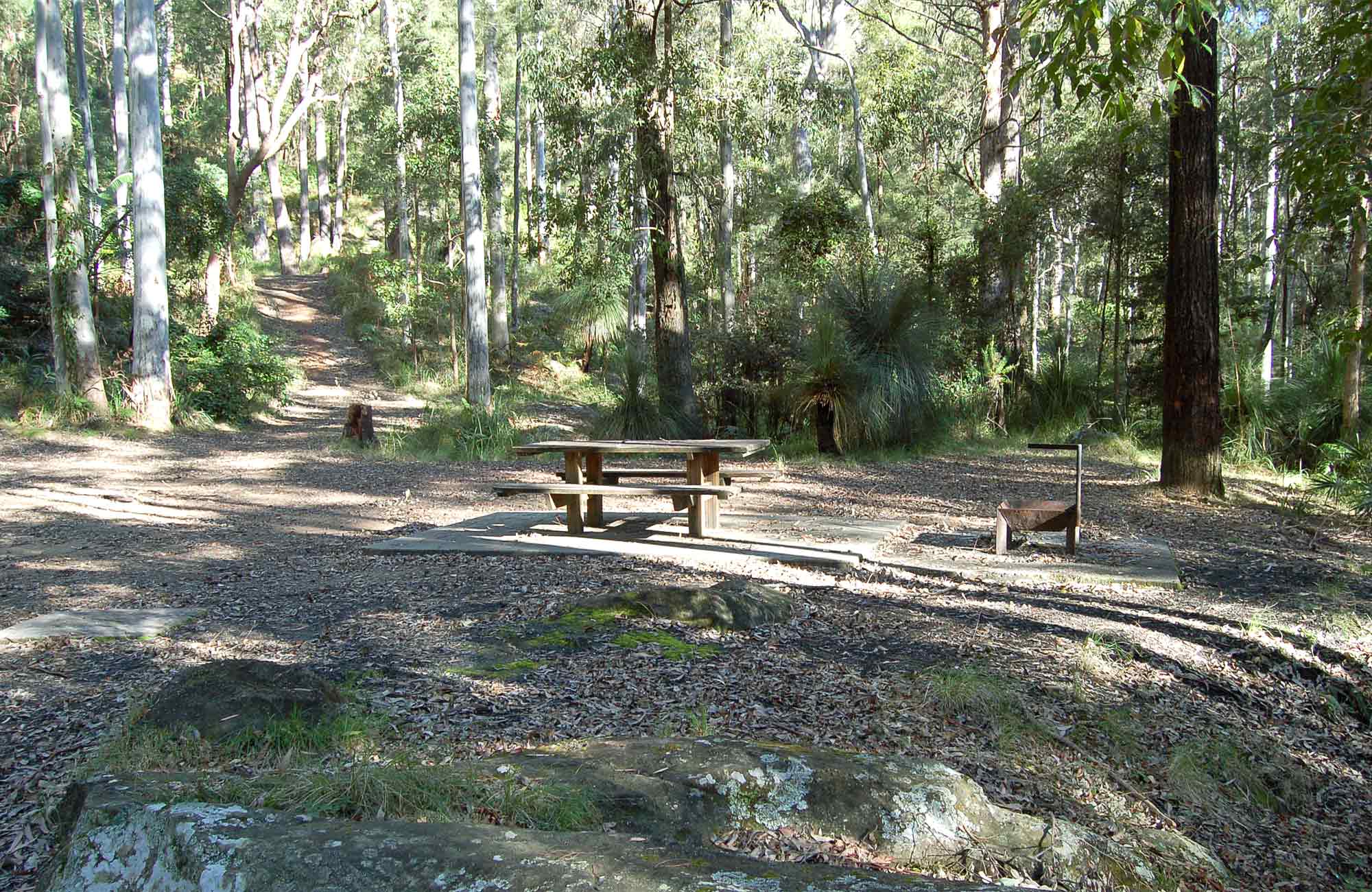 Gap Creek campground NSW National Parks