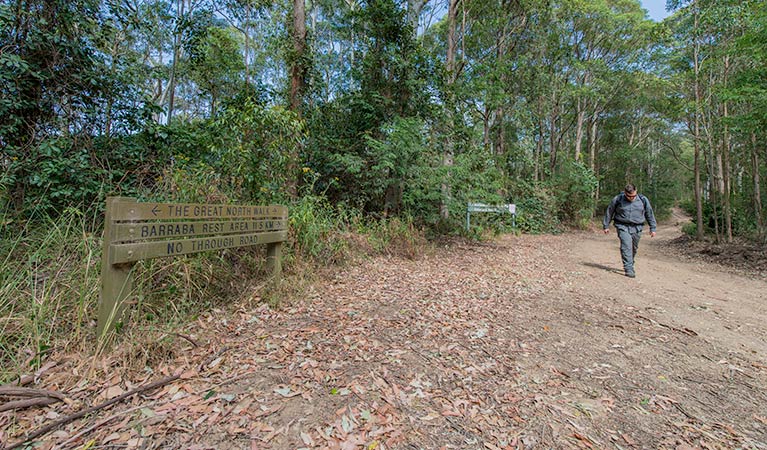 Great North walk, Watagans National Park. Photo: John Spencer &copy; DPIE