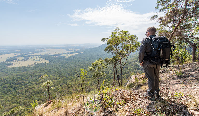 Great North walk, Watagans National Park. Photo: John Spencer &copy; DPIE