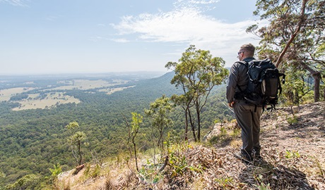 Great North walk, Watagans National Park. Photo: John Spencer &copy; OEH