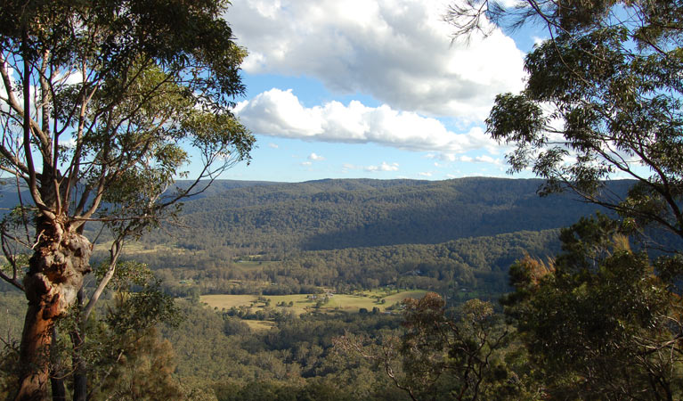 Martinsville Valley, Watagans National Park