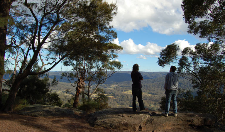 Monkey Face lookout, Watagans National Park