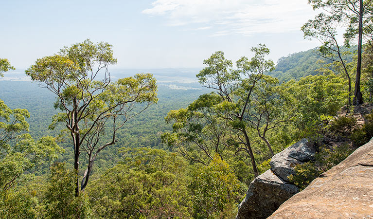 The Narrow Place lookout, Watagans National Park. Photo: John Spencer