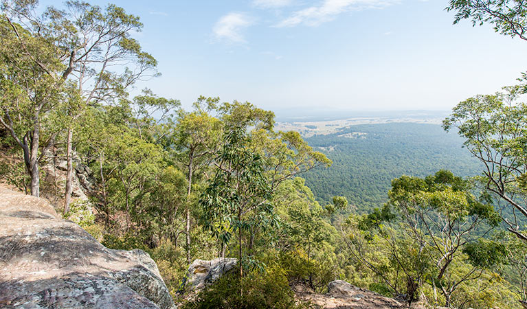 The Narrow Place lookout, Watagans National Park. Photo: John Spencer &copy; DPIE