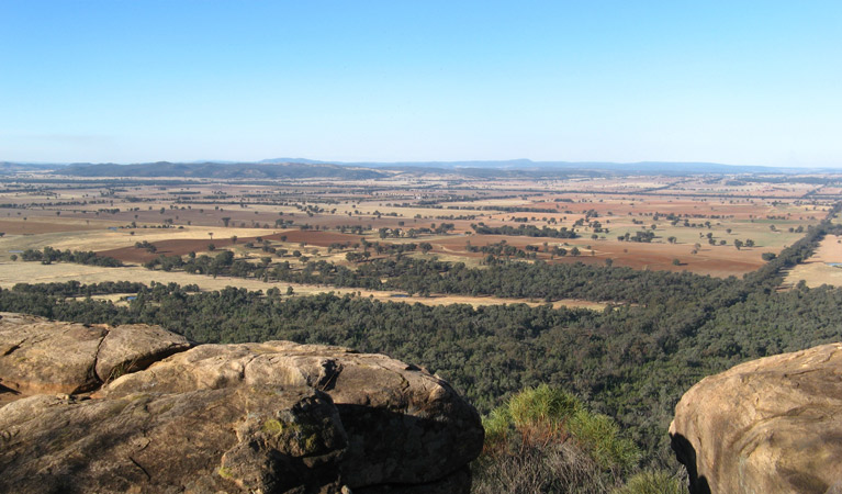 Eualdrie Lookout, Weddin Mountains National Park. Photo: Melanie Cooper &copy; DPIE