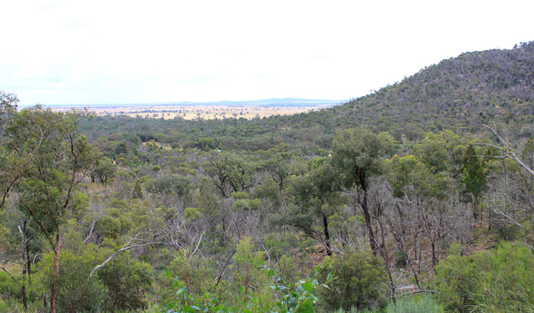 Ben Hall Cave Walk, Weddin Mountains National Park. Photo &copy; Claire Davis