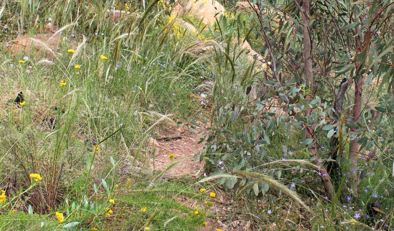 Ben Hall Cave Walk, Weddin Mountains National Park. Photo &copy; Claire Davis