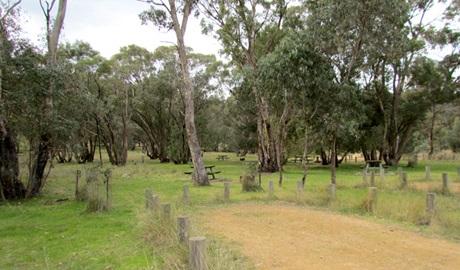 Ben Halls Campground, Weddin Mountains National Park. Photo: M Cooper/NSW Government