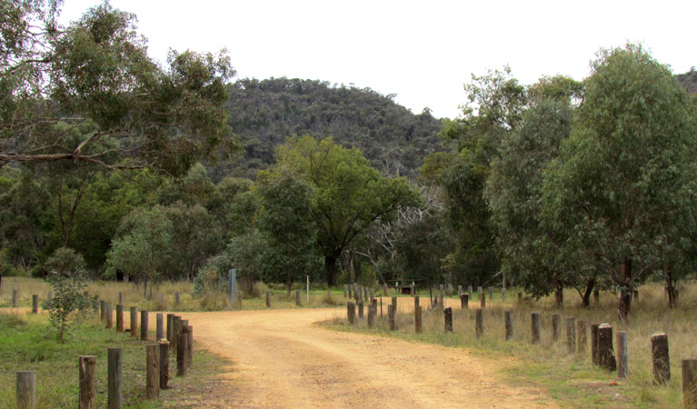 Ben Halls Campground, Weddin Mountains National Park. Photo: M Cooper/NSW Government