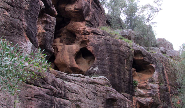 Rock formations along Berthas Gully walking track in Weddin Mountains National Park. Photo: Melanie Cooper &copy; DPIE