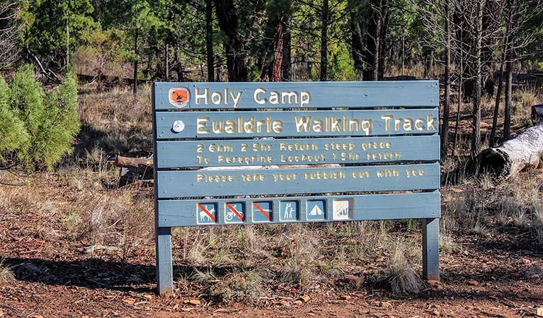 Holy Camp, Weddin Mountains National Park. Photo: C Davis/NSW Government