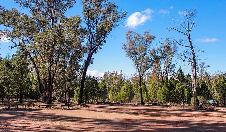 Holy Camp, Weddin Mountains National Park. Photo: C Davis/NSW Government