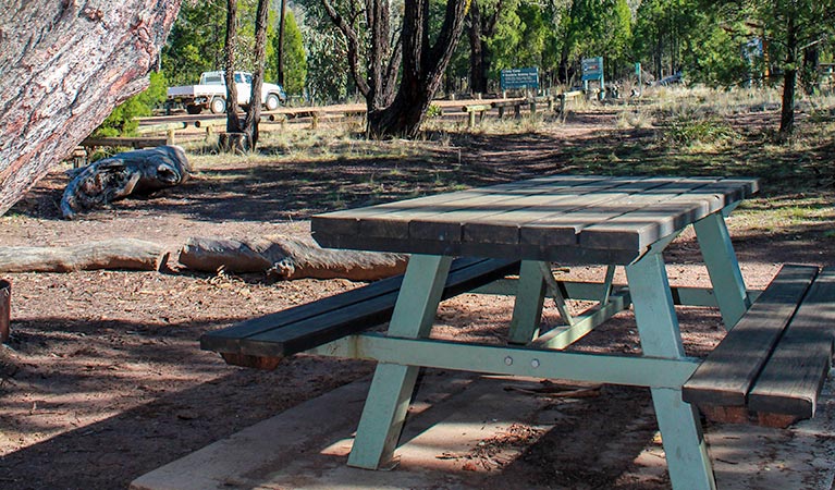 Holy Camp, Weddin Mountains National Park. Photo: C Davis/NSW Government