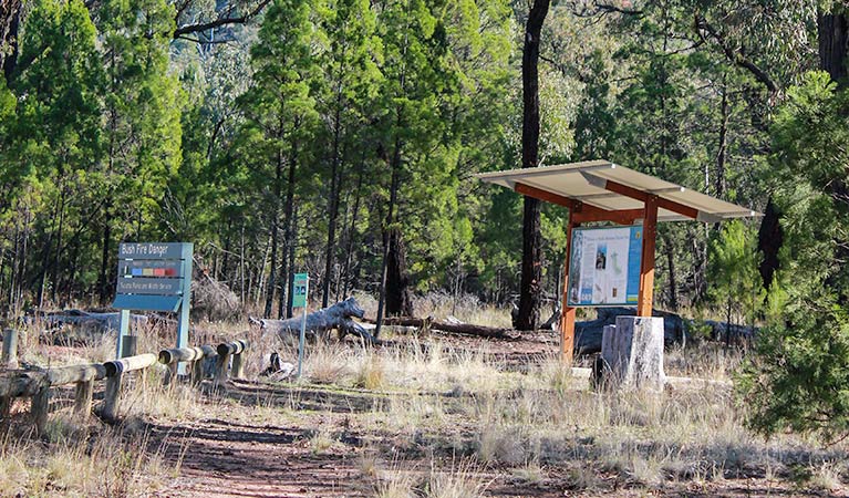 Holy Camp, Weddin Mountains National Park. Photo: C Davis/NSW Government