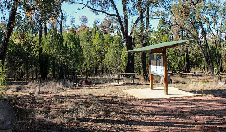 Holy Camp, Weddin Mountains National Park. Photo: C Davis/NSW Government