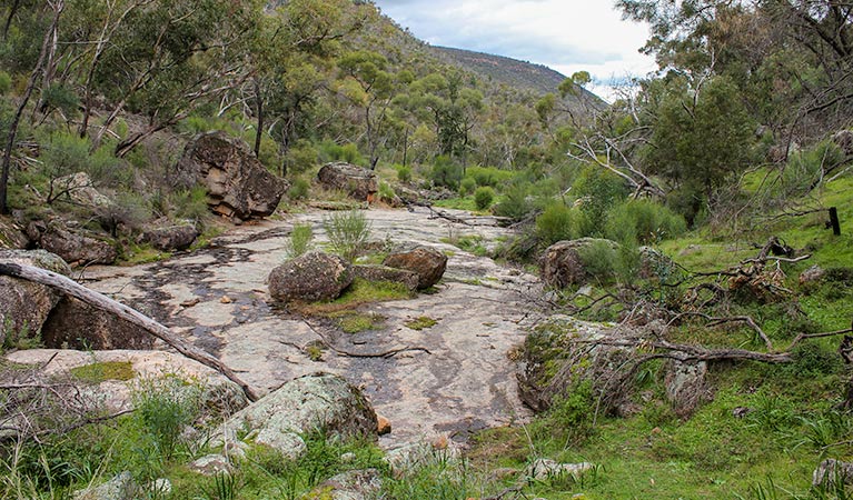 Lynchs loop trail, Weddin Mountains National Park. Photo &copy; Claire Davis