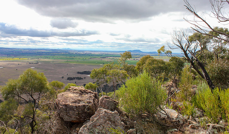 Lynchs loop trail, Weddin Mountains National Park. Photo &copy; Claire Davis