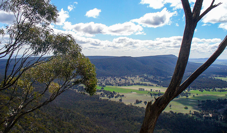 Weddin Gap to Black Spring loop trail, Weddin Mountains National Park. Photo &copy; Claire Davis