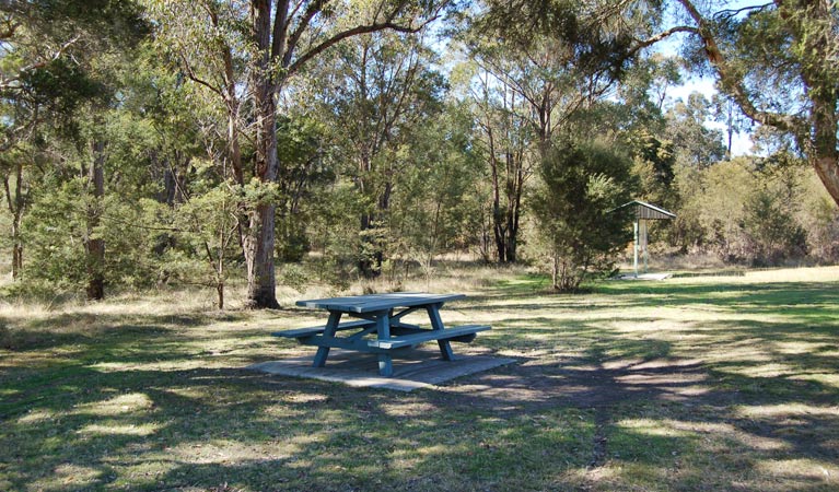 Astills Picnic Area, Werakata National Park. Photo: Susan Davis/NSW Government