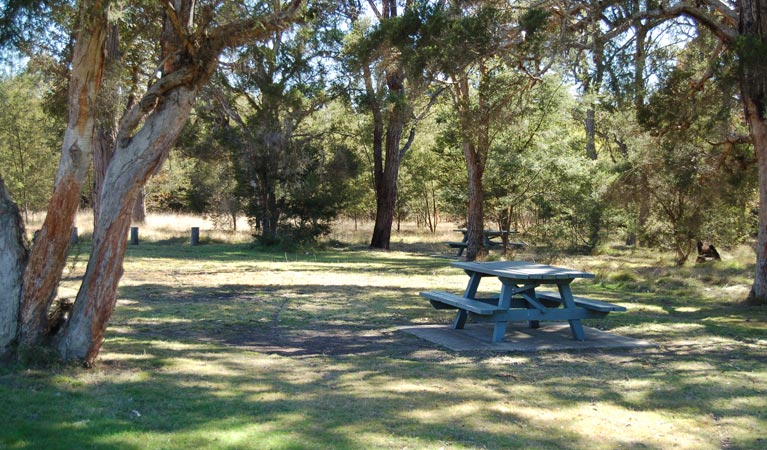 Astills Picnic Area, Werakata National Park. Photo: Susan Davis/NSW Government