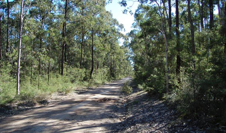 Deadmans Loop Trail, Werakata National Park. Photo: Susan Davis/NSW Government