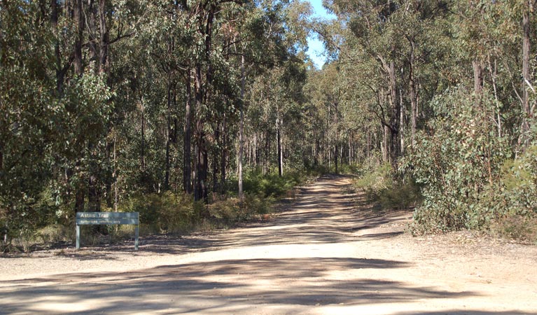 Deadmans Loop Trail, Werakata National Park. Photo: Susan Davis/NSW Government