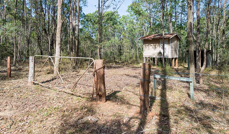 Forestry Hut, Werakata National Park. Photo: John Spencer