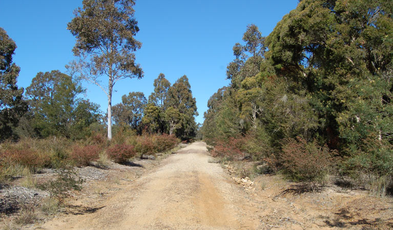 Astills Trail, Werakata National Park. Photo: Susan Davis/NSW Government