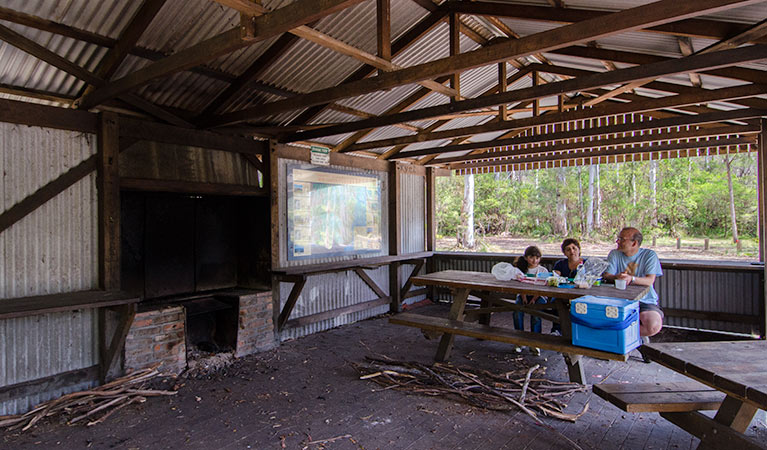 Brushy Mountain campground. Photo: John Spencer/NSW Government