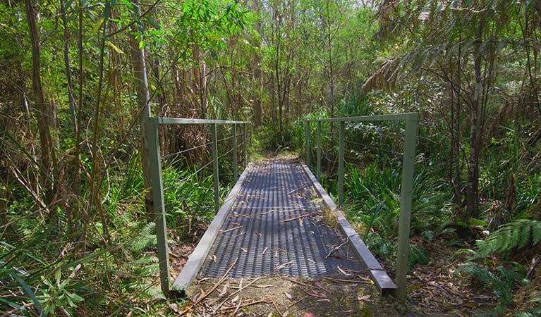 Walking track with a small footbridge along Brushy Mountain loop walk, near Wauchope. Photo: John Spencer &copy; OEH