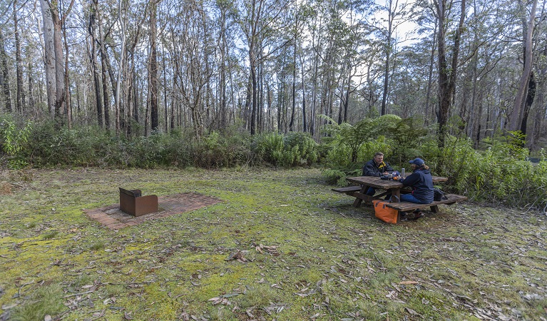 Visitors sitting at the picnic tables at Cobcroft picnic area. Photo: Josh Smith © DPE