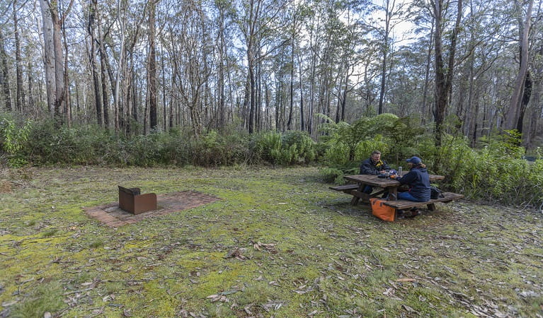 Grassy Cobcroft picnic area with wood barbecue and picnic table, surrounded by tall trees. Photo: John Spencer/DPIE