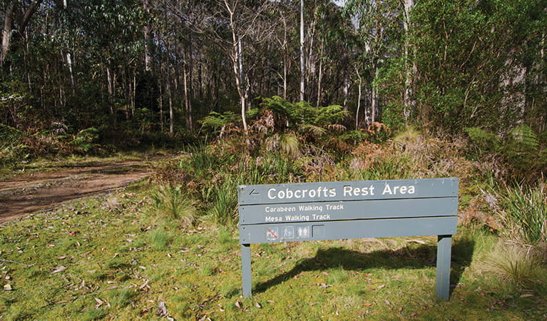 Park sign on a grassy area with forest backdrop, at the start of walking tracks in Werrikimbe National Park. Photo: John Spencer/DPIE