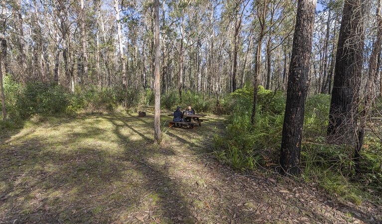 Visitors using the picnic tables at Cobcroft picnic area. Photo: Josh Smith © DPE