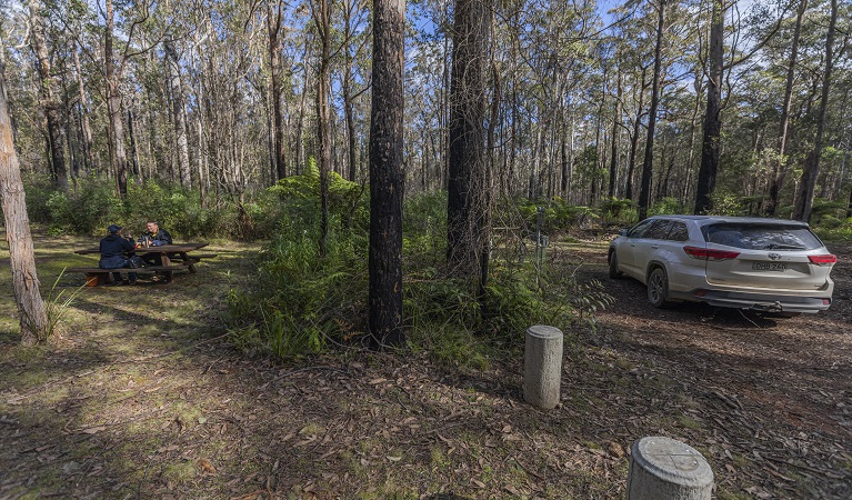 Visitors sitting at the picnic tables at Cobcroft picnic area. Photo: Josh Smith © DPE