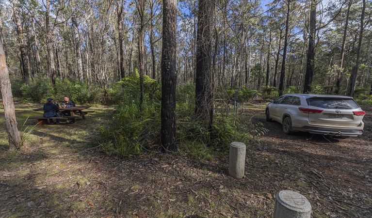 Visitors using the picnic tables at Cobcroft picnic area. Photo: Josh Smith © DPE