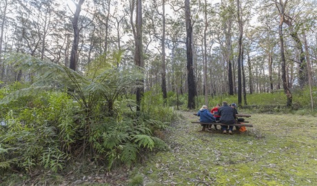 Visitors sitting at the picnic tables at Cobcroft picnic area. Photo: Josh Smith © DPE