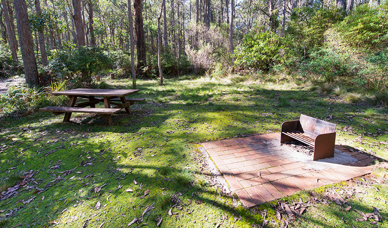 Grassy Cobcroft picnic area with wood barbecue and picnic table, surrounded by tall trees. Photo: John Spencer/DPIE
