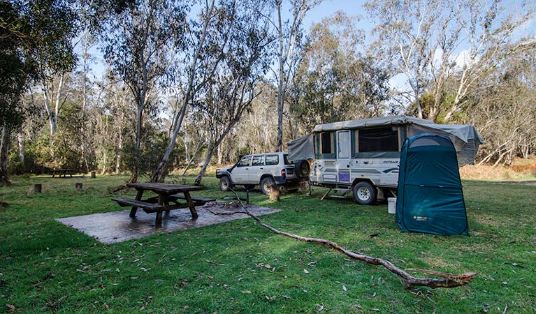 Mooraback campground, Werrikimbe National Park. Photo: John Spencer/NSW Government