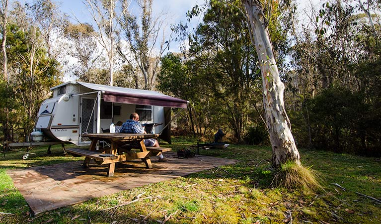 Mooraback campground, Werrikimbe National Park. Photo: John Spencer/NSW Government