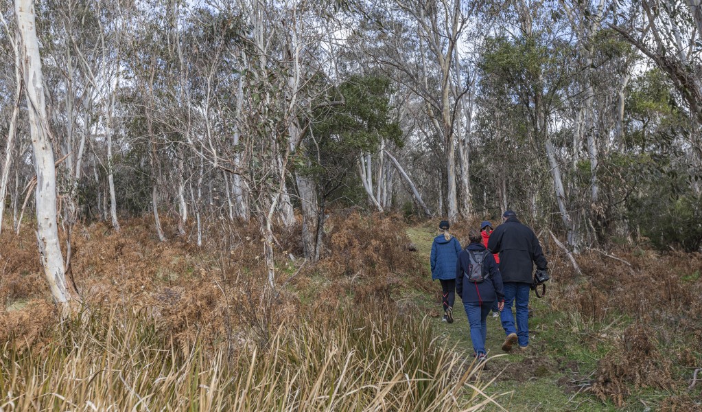 A group of friends walking along Platypus Pool walking track in Werrikimbe National Park. Photo: Josh Smith &copy; DPE