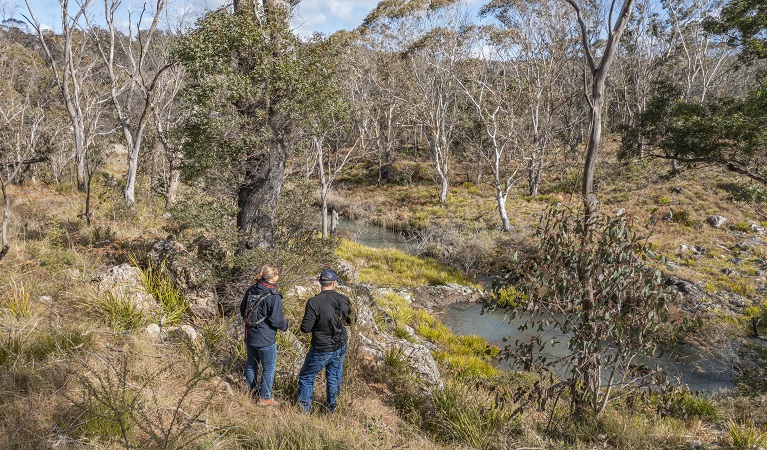 View of Platypus Pool from Platypus Pool walking track. Photo: Josh Smith &copy; DPE