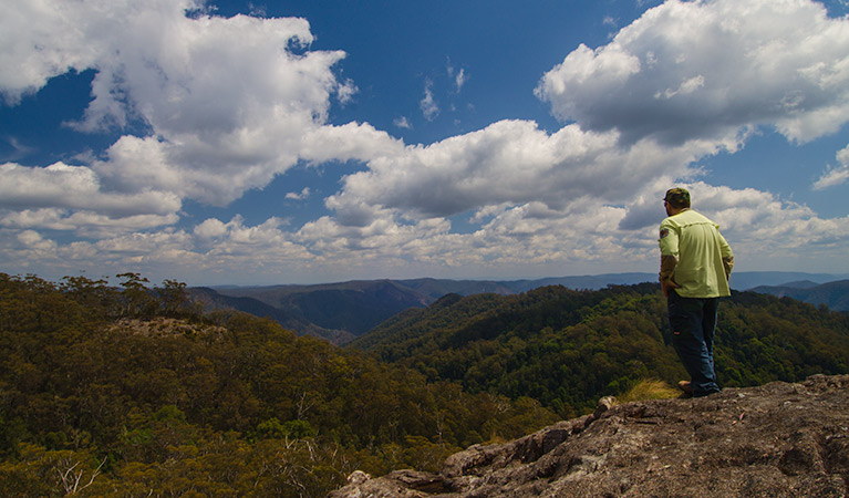 Hoppy lookout, Werrikimbe National Park. Photo: John Spencer &copy; DPIE