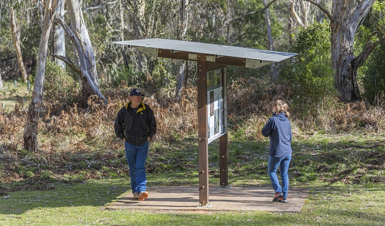 Visitors looking up park information, Werrikimbe National Park. Photo: Josh Smith &copy; DPE