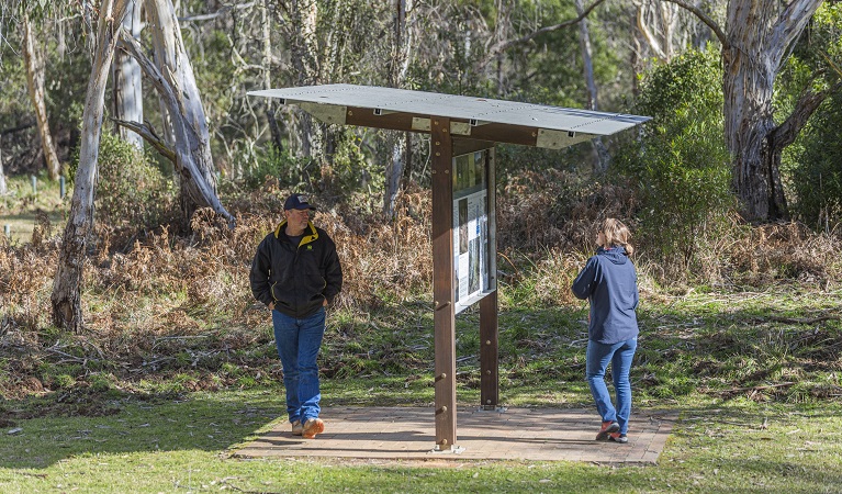 Visitors looking up park information, Werrikimbe National Park. Photo: Josh Smith &copy; DPE