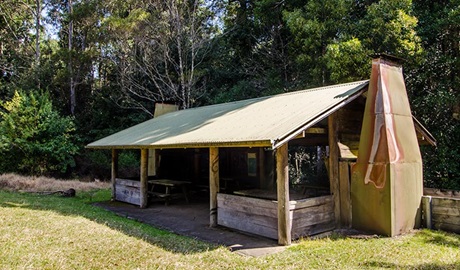 Plateau Beech campground, Werrikimbe National Park. Photo: John Spencer/NSW Government