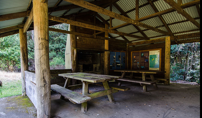 Plateau Beech campground, Werrikimbe National Park. Photo: John Spencer/NSW Government