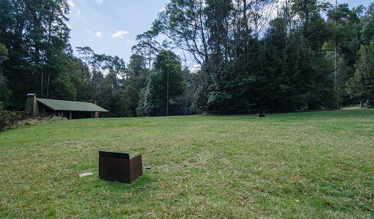 Plateau Beech campground, Werrikimbe National Park. Photo: John Spencer/NSW Government